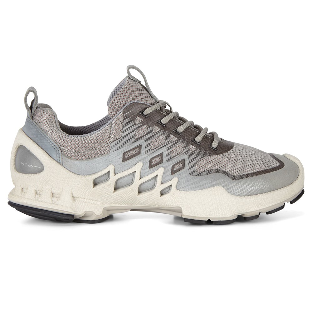 ECCO ウォーキング シューズ レディース シルバー/グレー - Biom Aex Low Two-Tone - WBL-361954